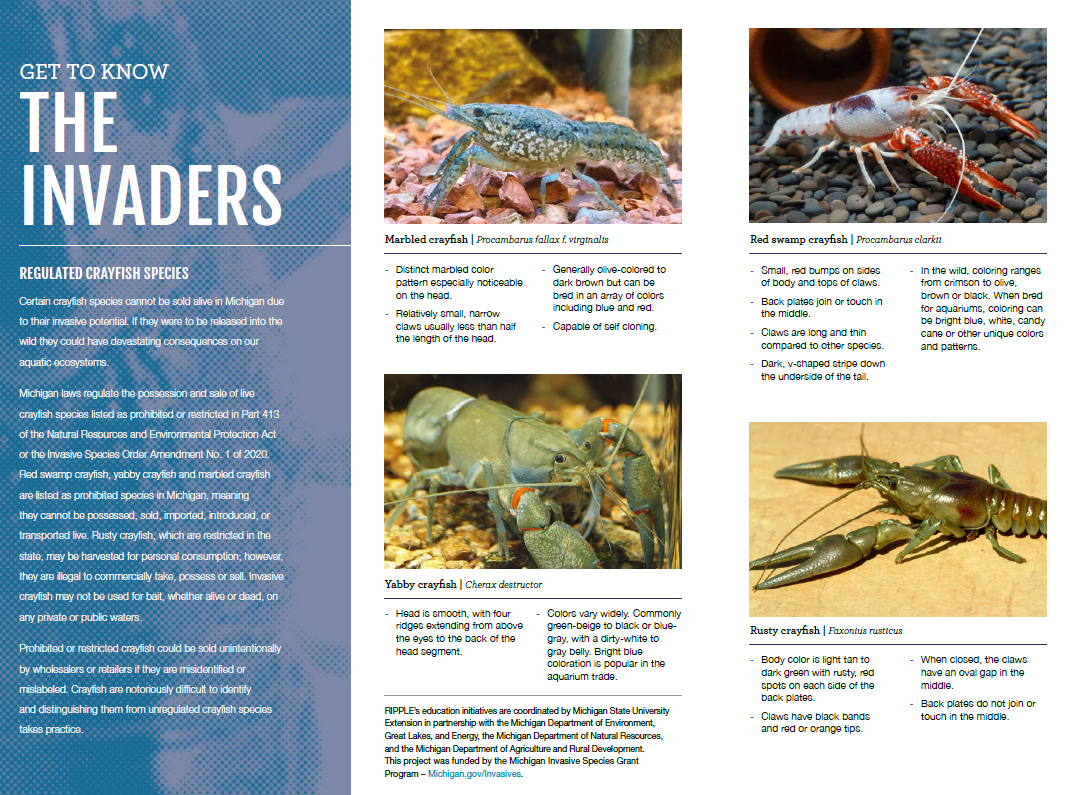 crayfish brochure inside